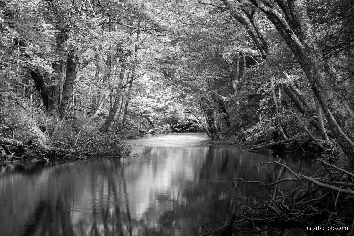 Island River (BW)